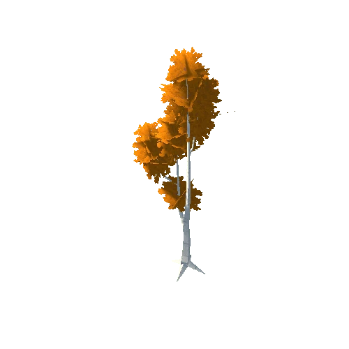 Birch Tree Orange Mid 02